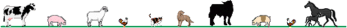 Ligne animaux 1